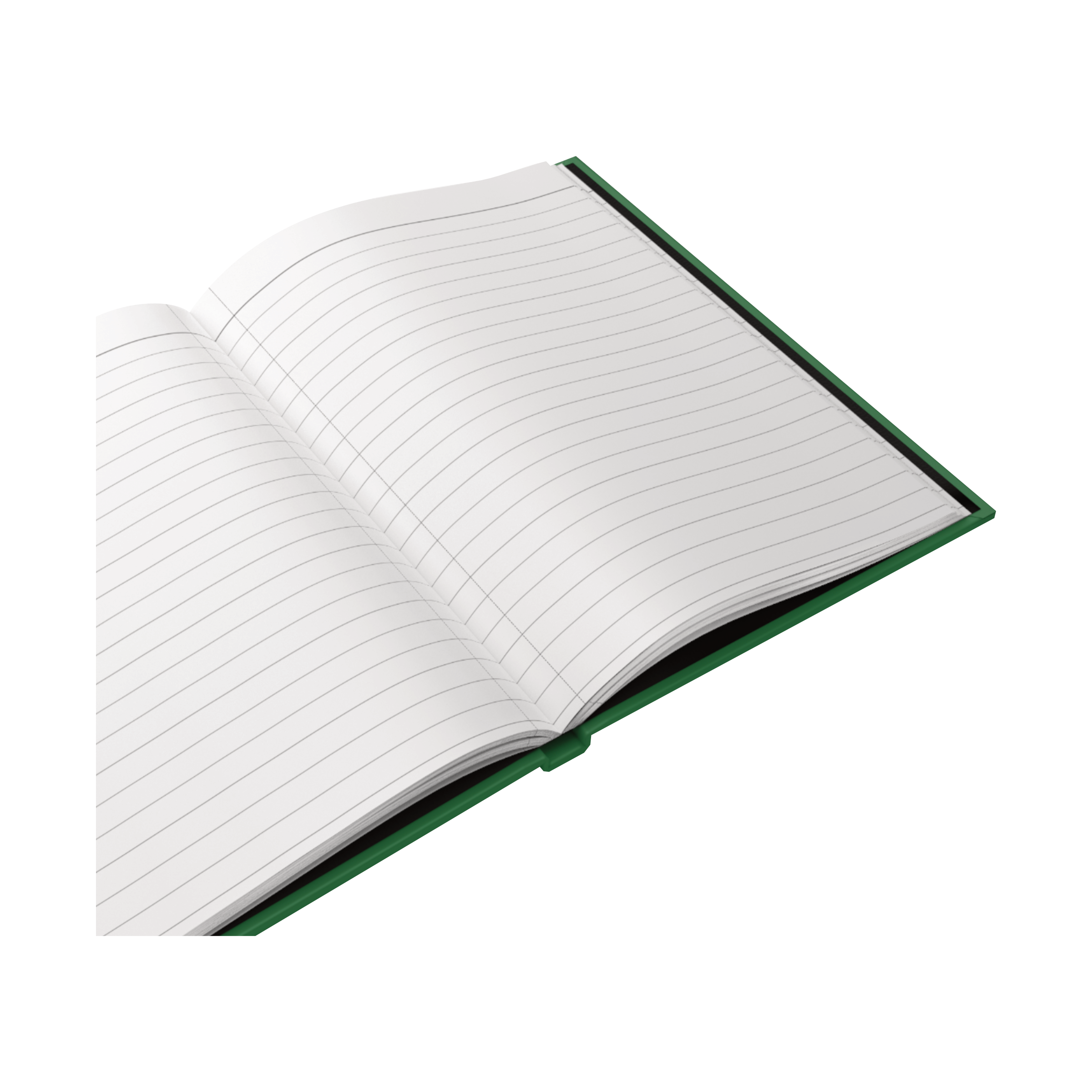 The inside lined pages of the green hardcover journal.