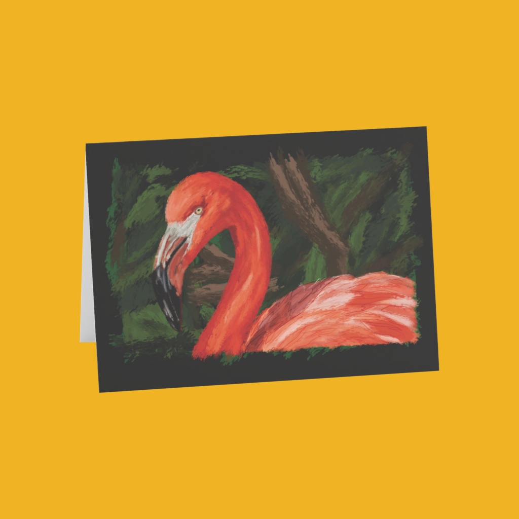 Hand Drawn Flamingo Greeting Cards (1, 10, 30, or 50pcs)